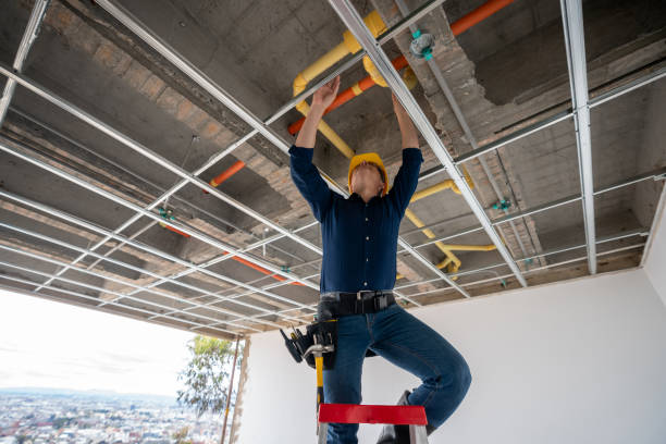 Best Sewer Line Repair  in Burlington, OH